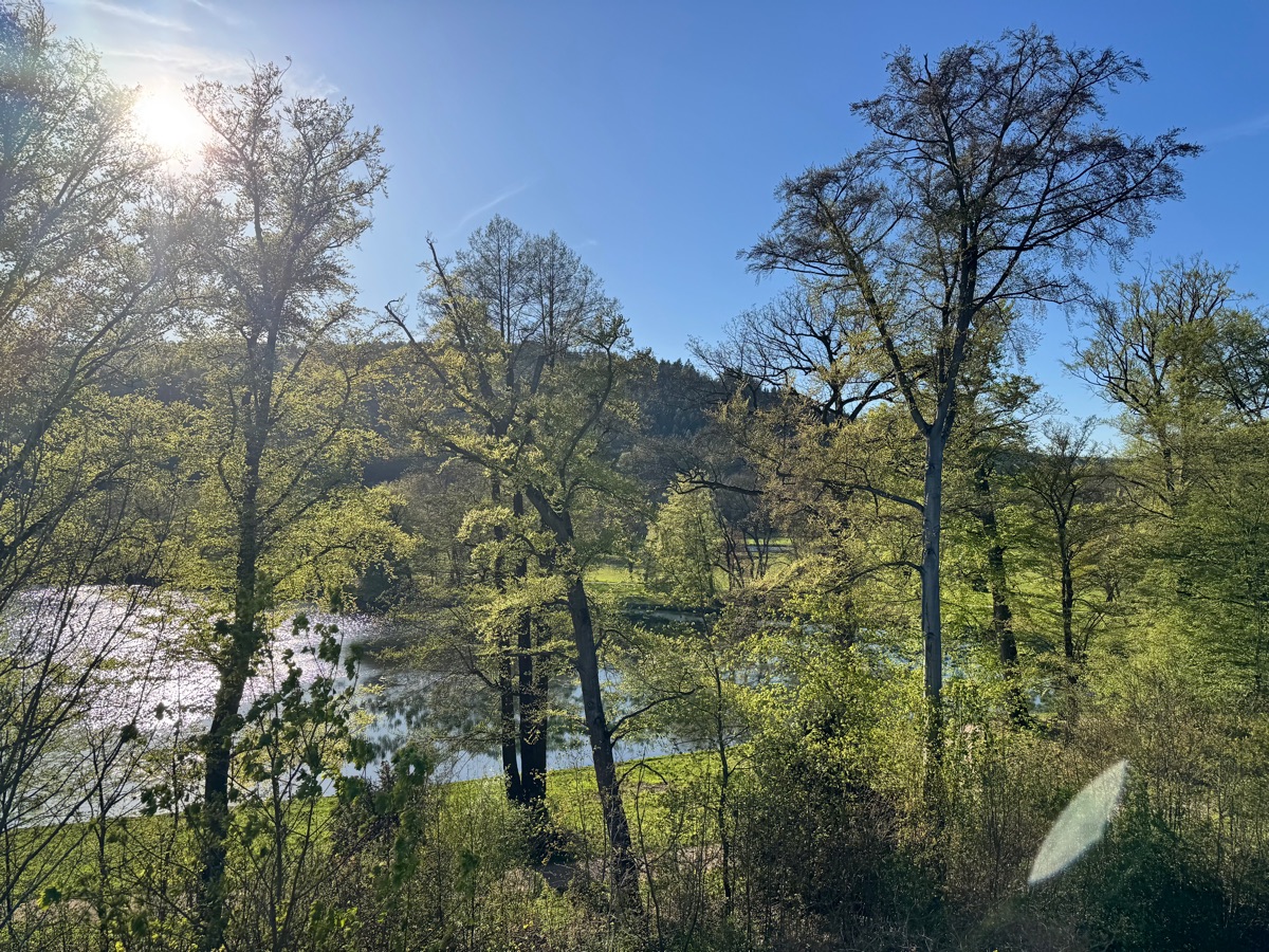 Blick vom Westbalkon über den Fürstlich Greizer Park im Frühling
