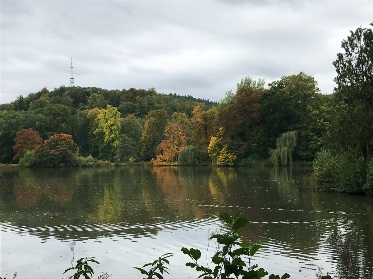 Herbstlich gefärbte Bäume spiegeln sich im Teich des Fürstlich Greizer Parks