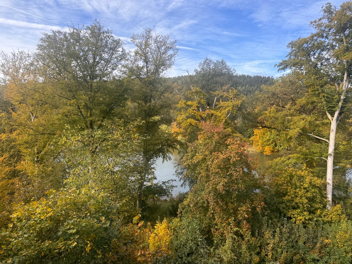 Herbstlich gefärbte Bäume und der Teich im Fürstlich Greizer Park, gesehen vom Balkon der Ferienwohnung